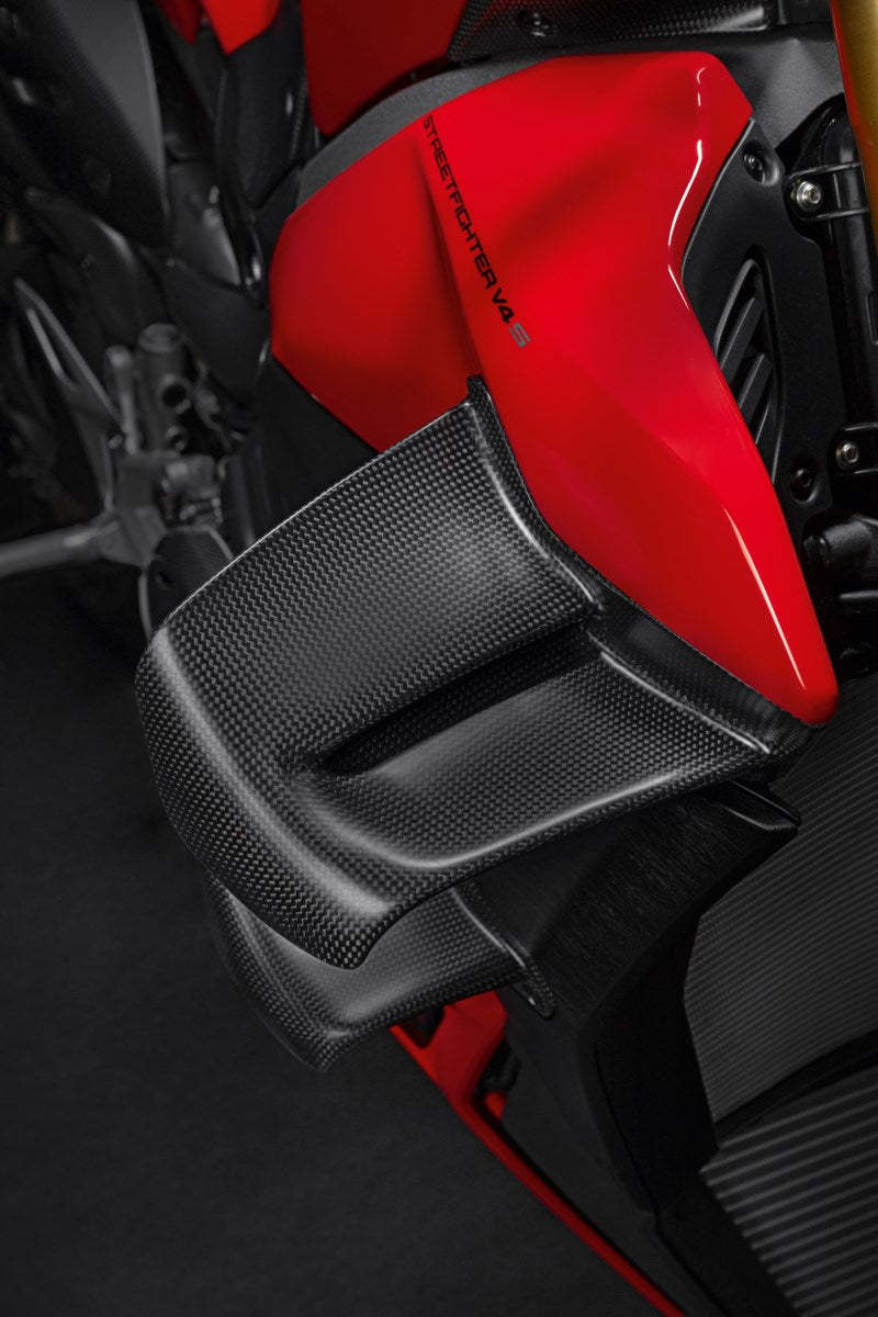 Streetfighter V4 Carbon Wings - 96982121AA