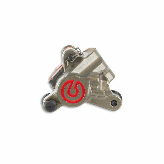 PINZA RACING POSTERIORE V21J