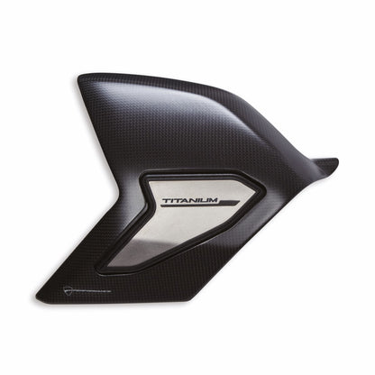 CARBON SWINGING ARM PROTECTION SET 1715
