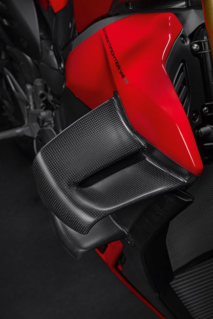 Streetfighter V4 Carbon Wings - 96982121AA