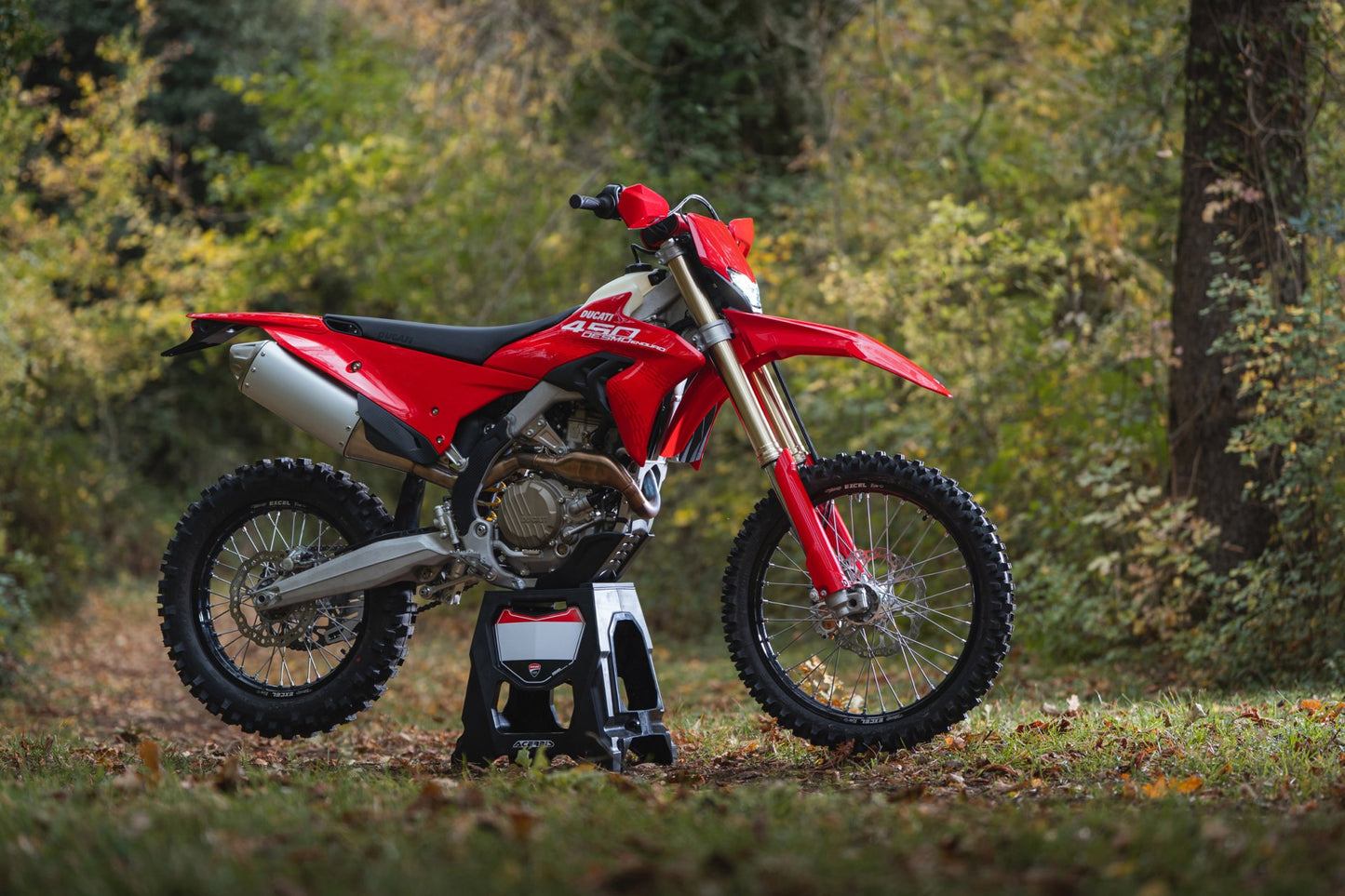 Ducati Desmo 450 EDS Deposit